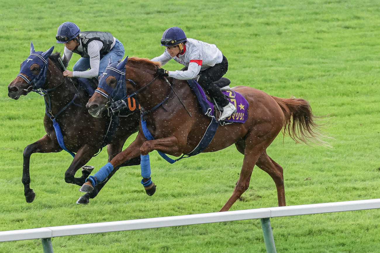 松岡騎手を背に札幌芝コースで追い切られるウインマリリン（右）（撮影・村野早祐）