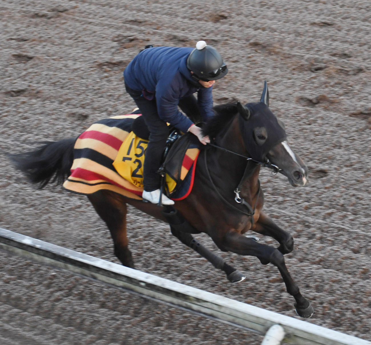 坂路で調整するプレサージュリフト（2023年1月2日撮影）
