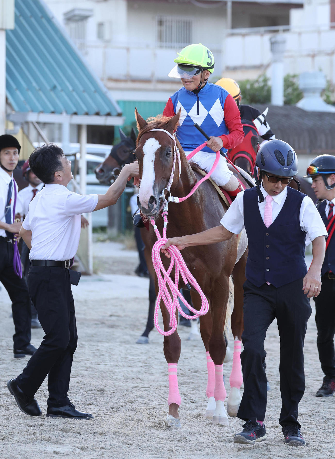 兵庫ジュベナイルCを制して引き揚げるマミエミモモタロー（撮影・白石智彦）