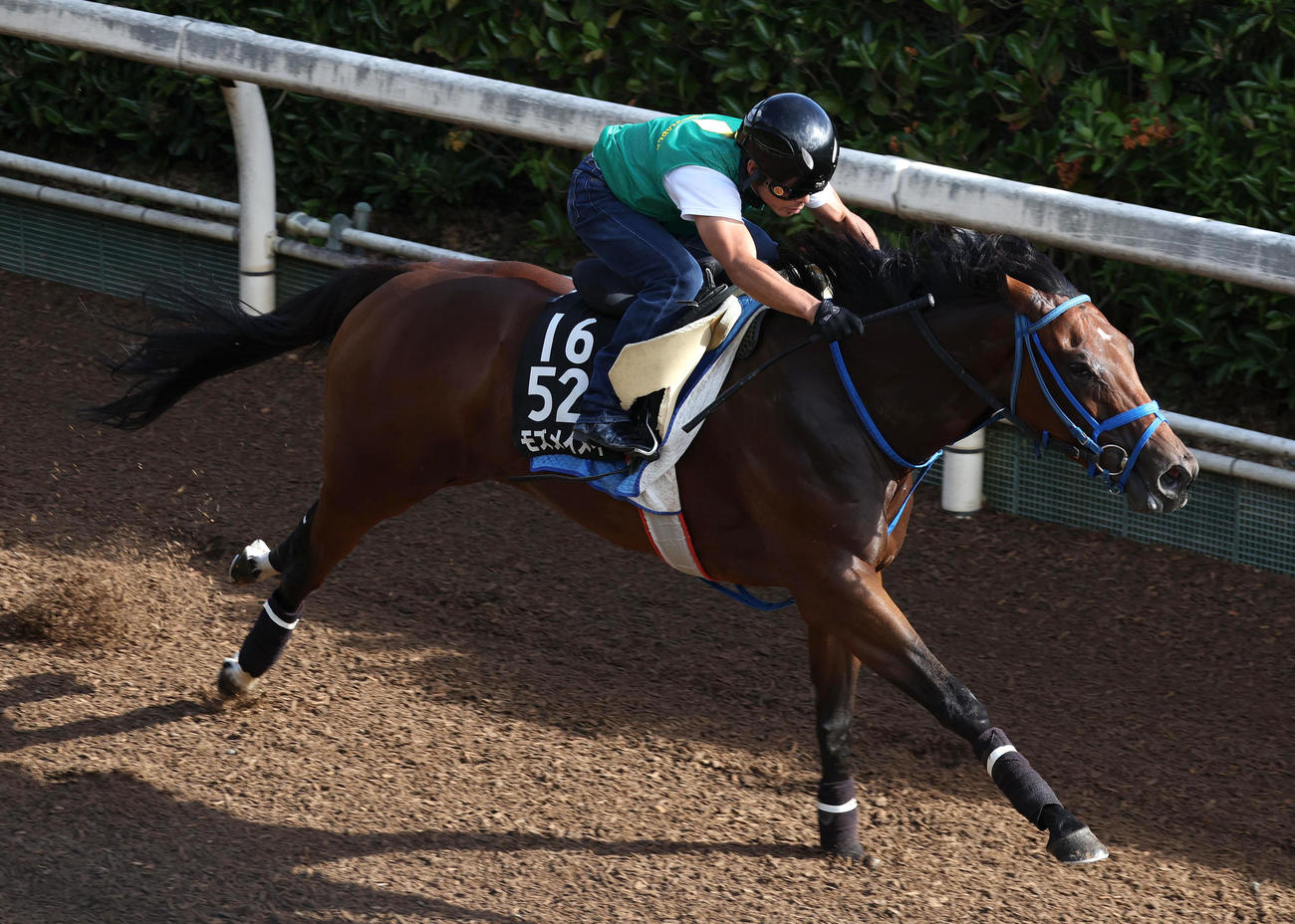 坂路を併せ馬で追い切るモズメイメイ（撮影・白石智彦）