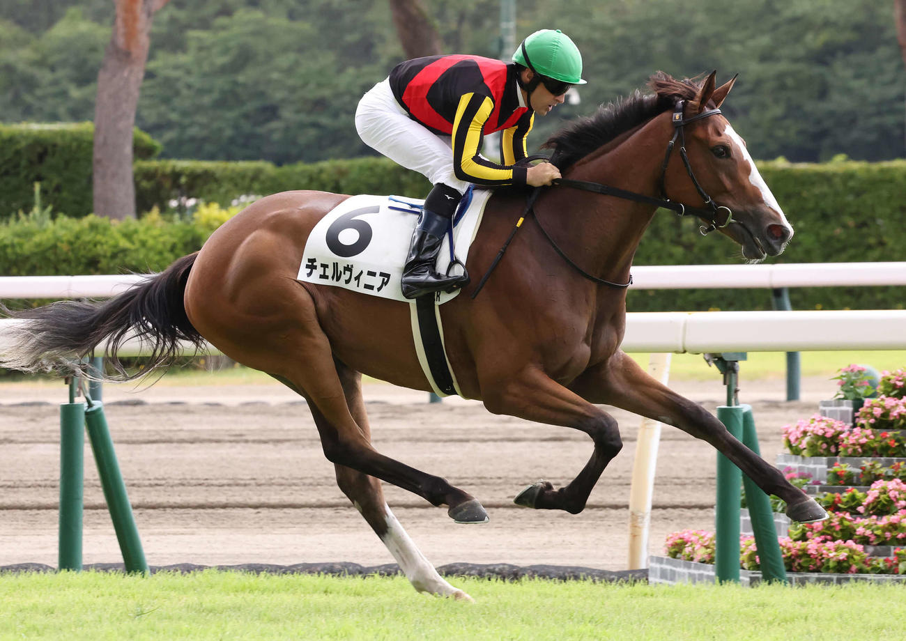 新潟2R、2歳未勝利戦を制したチェルヴィニアとルメール騎手（撮影・丹羽敏通）