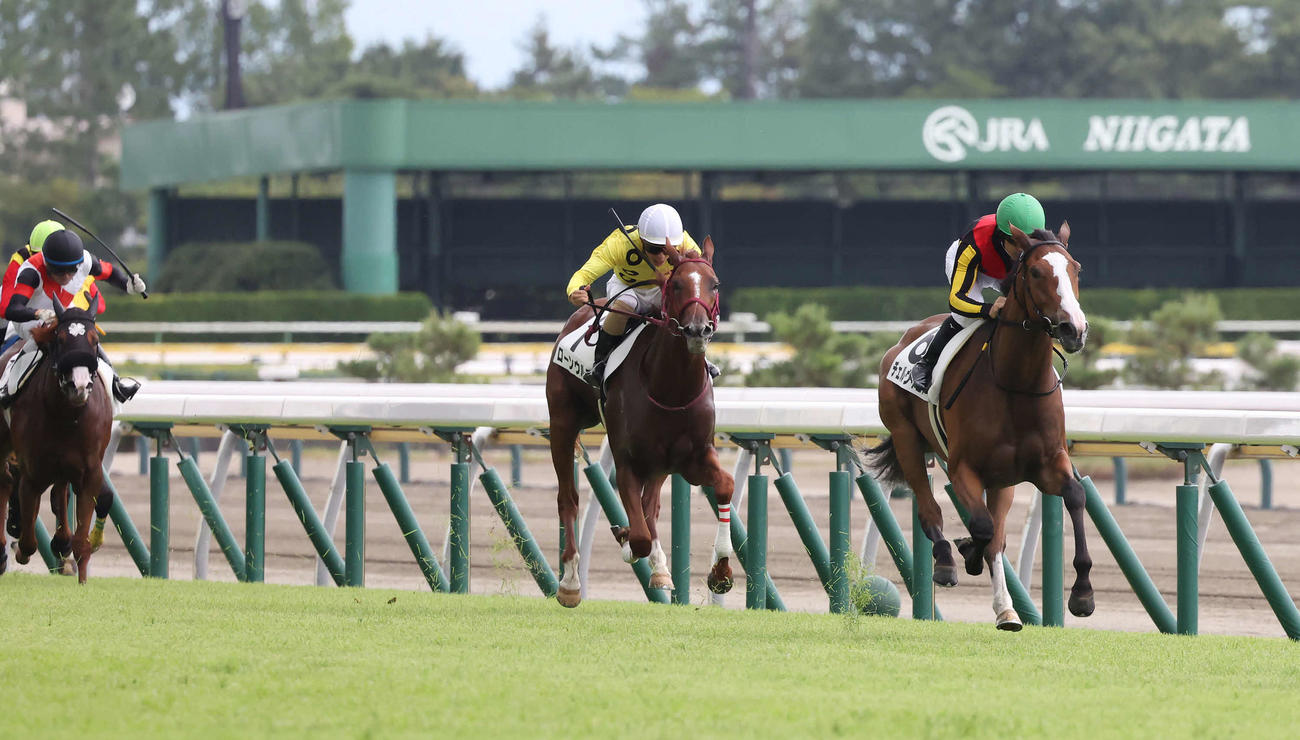 新潟2R、2歳未勝利戦を制したチェルヴィニアとルメール騎手（右）（撮影・丹羽敏通）