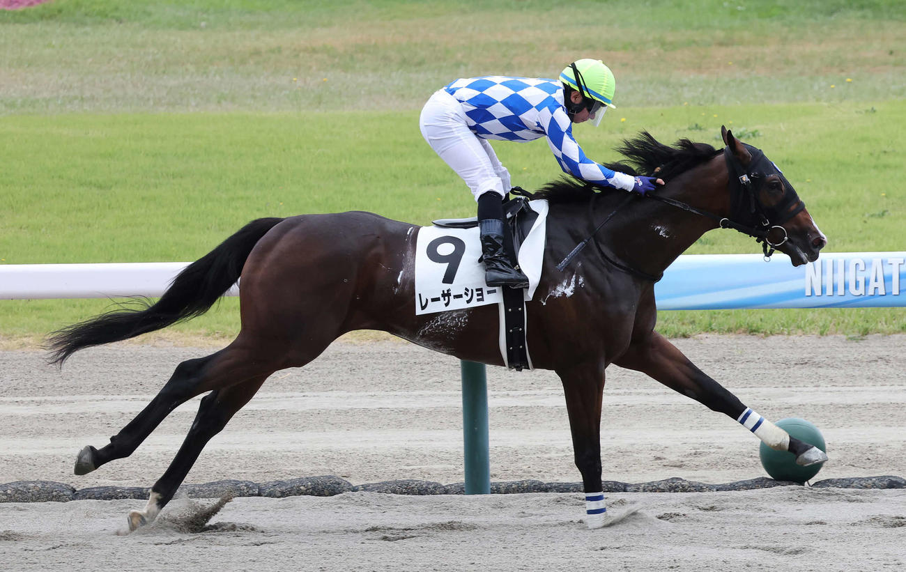 新潟1R、2歳未勝利戦を制したレーザーショーと内田騎手（撮影・丹羽敏通）