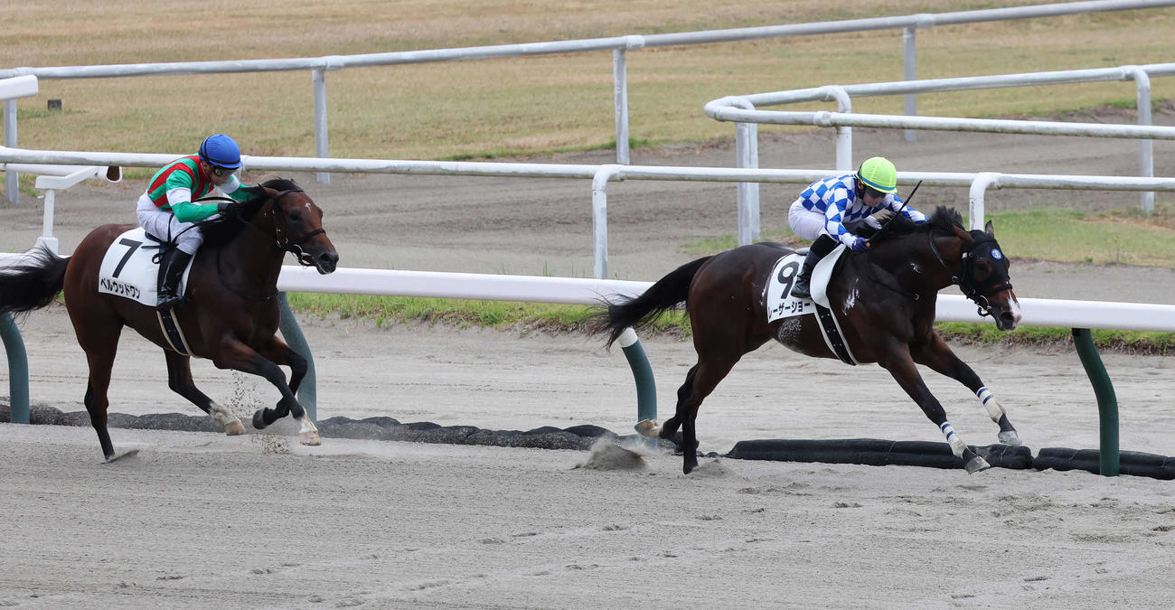 新潟1R、2歳未勝利戦を制したレーザーショーと内田騎手（右）（撮影・丹羽敏通）