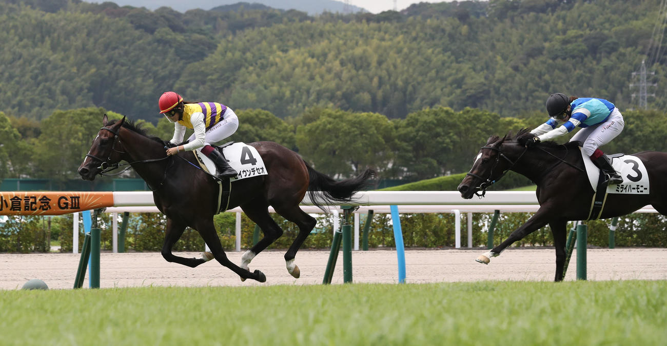 セイウンデセオと今村騎手は2歳新馬を制す（撮影・冨田成美）