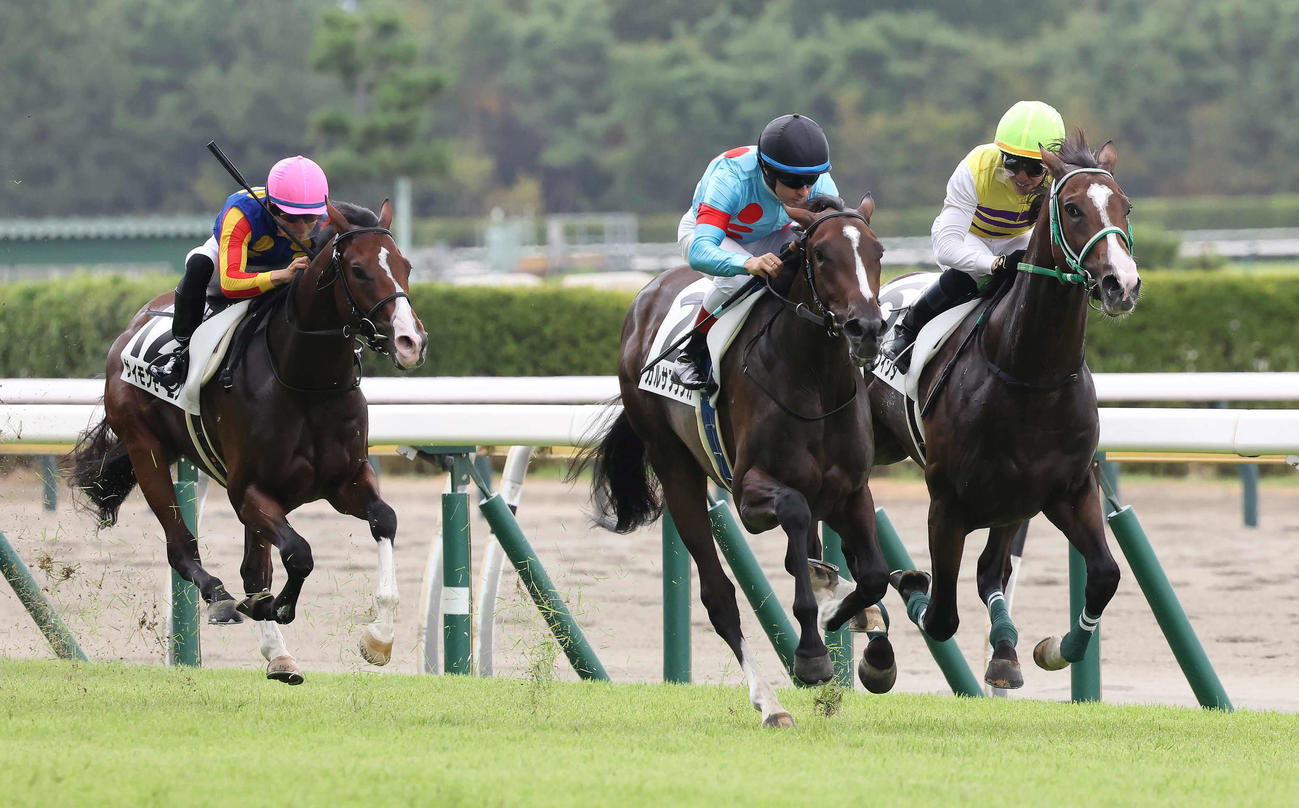 新潟5R、2歳新馬戦を制したガルサブランカとルメール騎手（中央）（撮影・丹羽敏通）