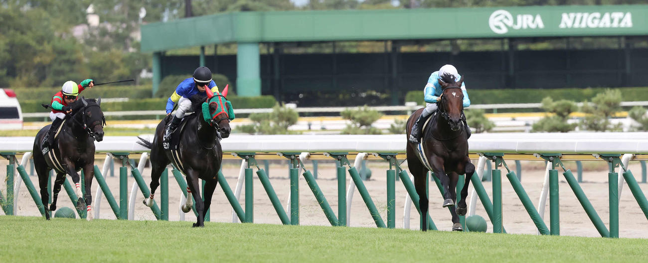 2着に7馬身差をつけて湯沢特別を快勝したオクタヴィアヌスとルメール騎手（右）（撮影・丹羽敏通）