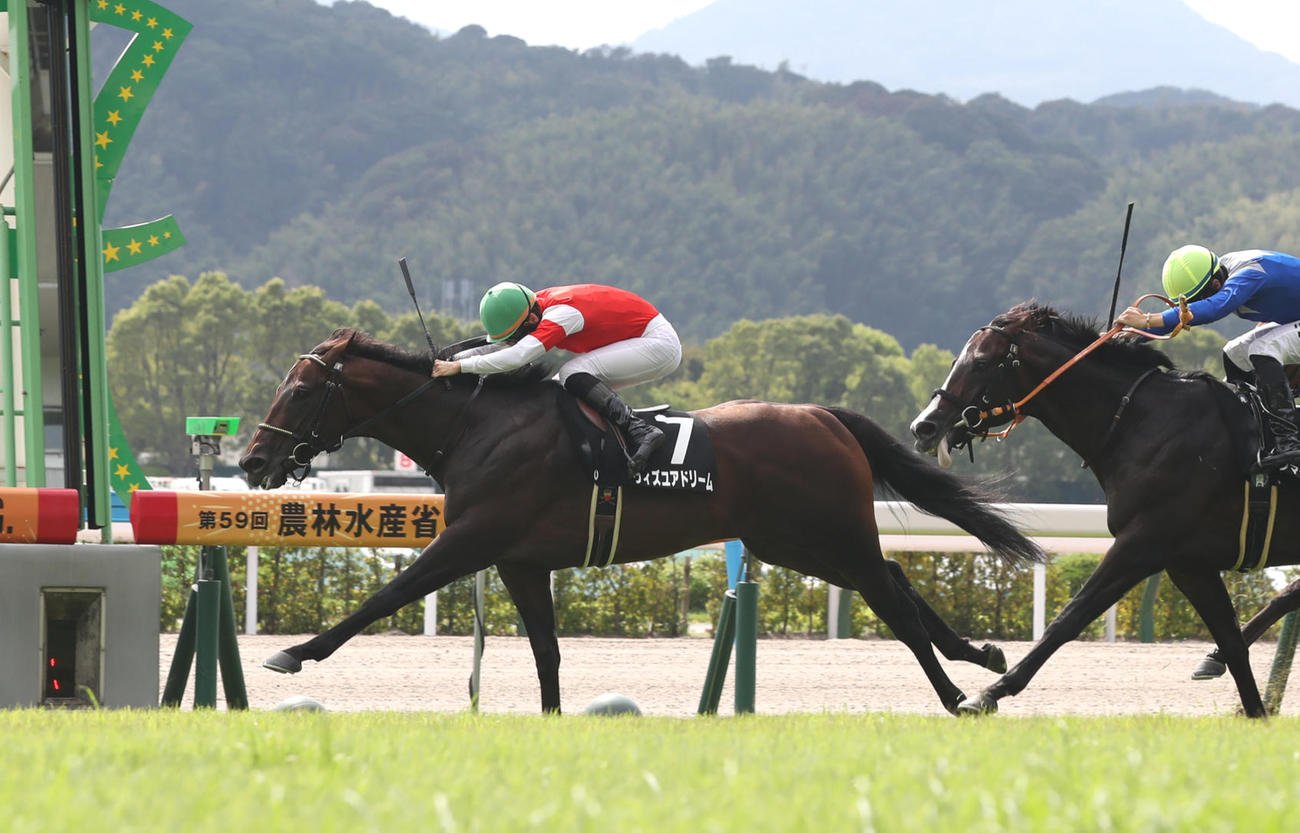 逃げ切って西部日刊スポーツ杯を制したウィズユアドリームと松山騎手（撮影・冨田成美）