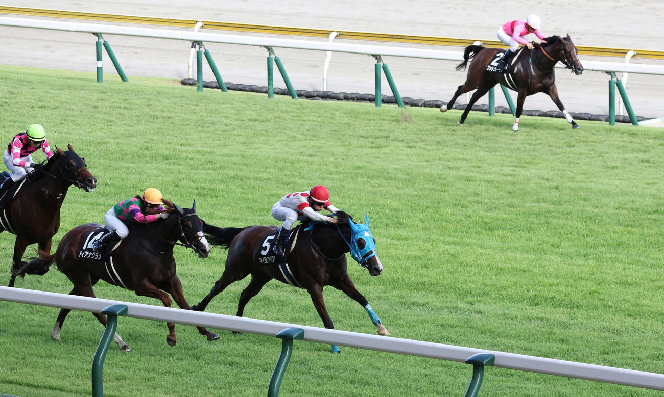 稲妻Sを制したマイヨアポア。右奥は1頭だけ内ラチ沿いを通ったブッシュガーデン（撮影・丹羽敏通）