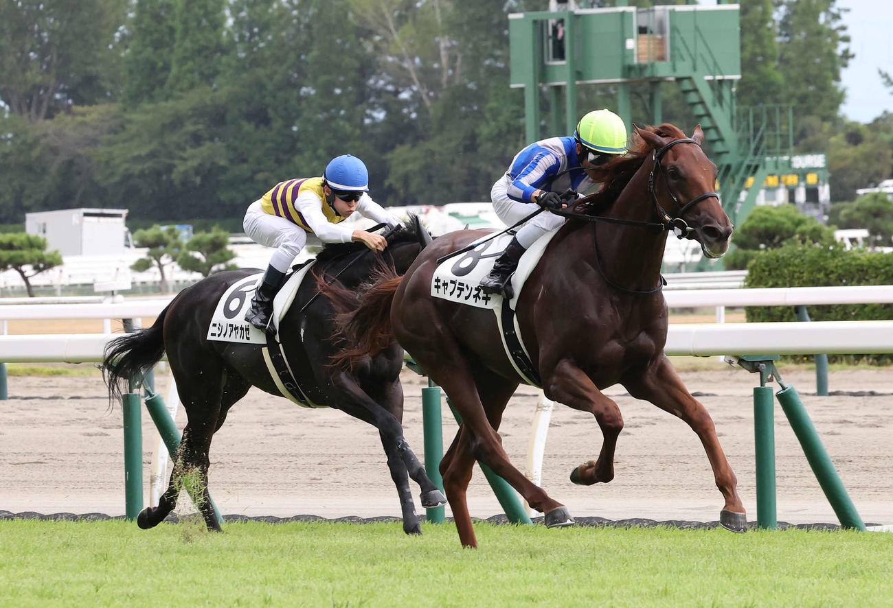 新潟6R、牝馬限定の新馬戦を制したキャプテンネキと戸崎騎手（右）（撮影・丹羽敏通）