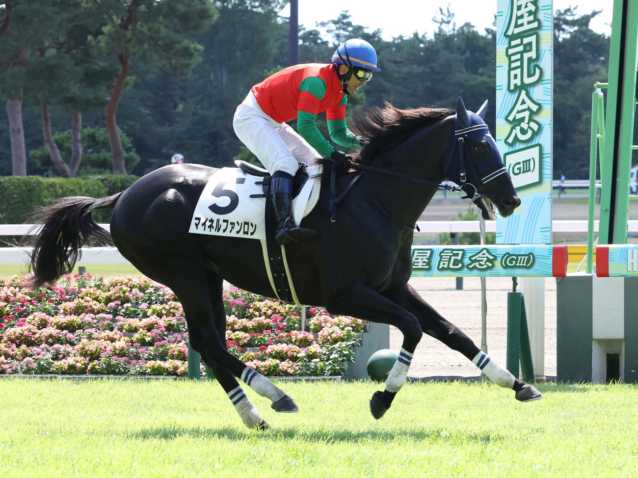 新潟1R、障害レースのデビュー戦は8着だったマイネルファンロンと蓑島騎手（撮影・丹羽敏通）