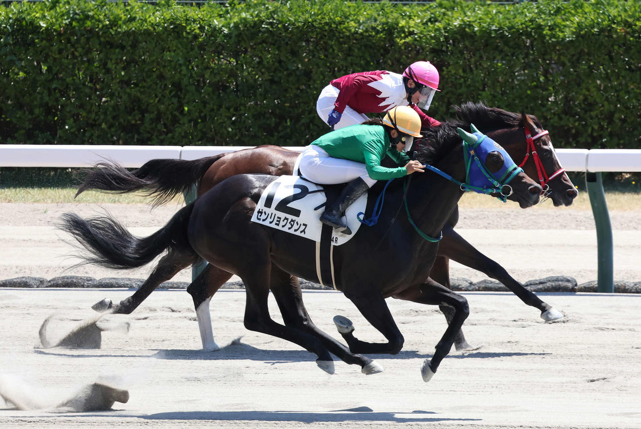 新潟4R、3歳未勝利戦を制したゼンリョクダンスと小林美騎手（手前）（撮影・丹羽敏通）