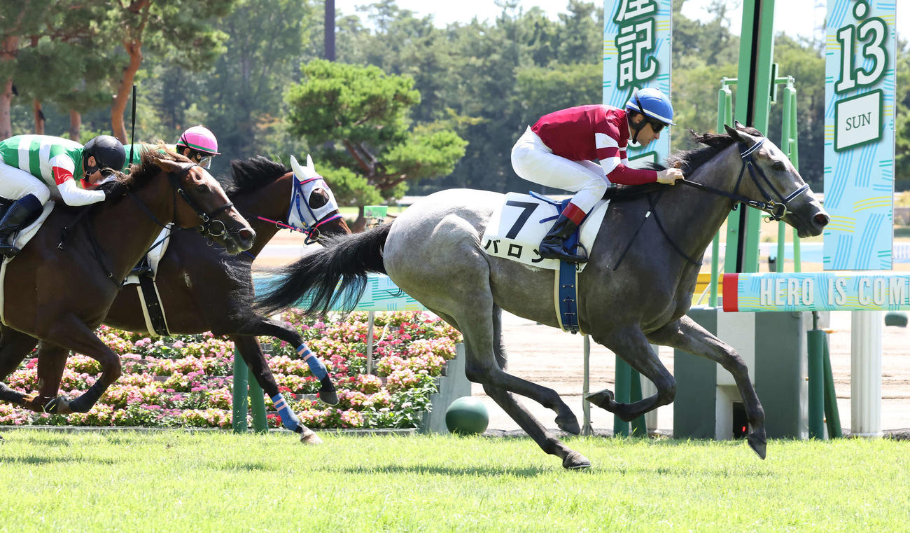 新潟3R、2歳未勝利戦を制したバロンとルメール騎手（撮影・丹羽敏通）