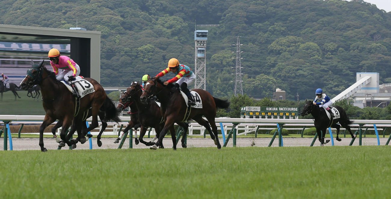 新馬戦を制したテイエムチュララン（左）（撮影・冨田成美）