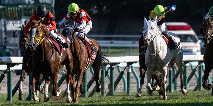札幌記念を制したジャックドール（左）。（撮影・村野早祐）＝2022年8月21日、札幌競馬場
