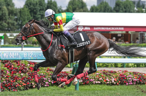 武豊がエコロヴァルツをデビュー2連勝に導く 6馬身差圧勝「能力高い