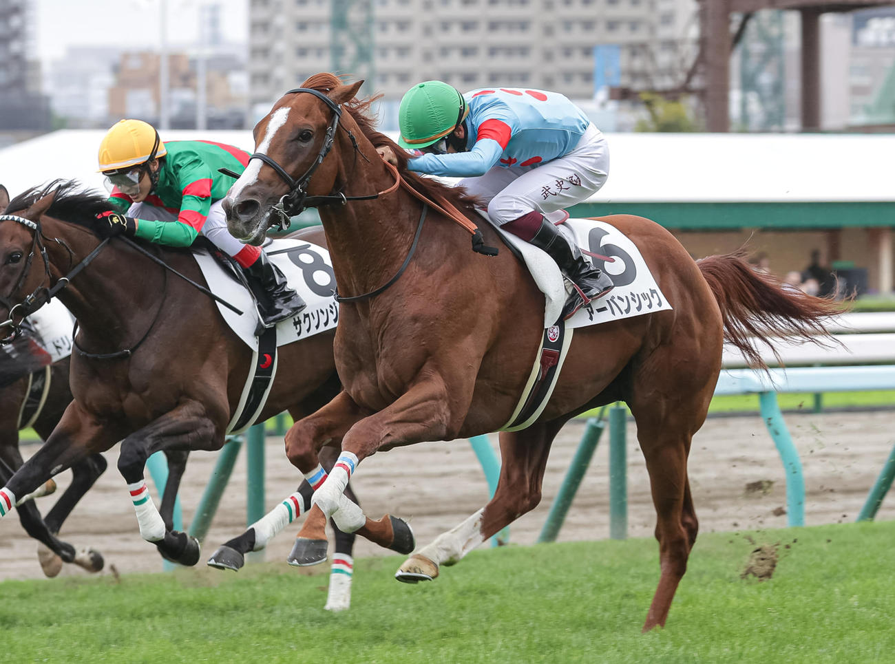 デビュー戦を制したアーバンシックと横山武騎手（撮影・村野早祐）
