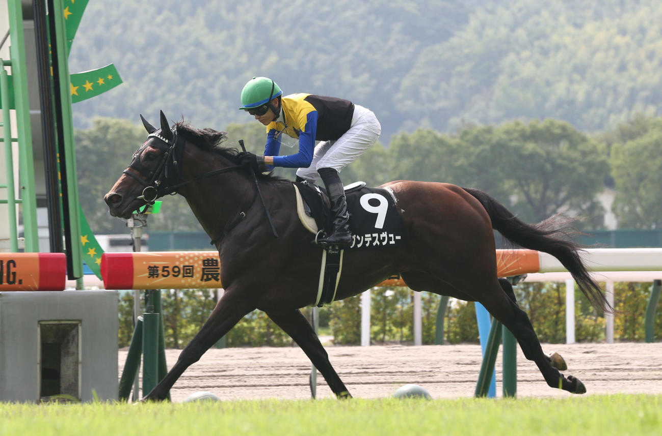 博多Sを快勝したダンテスヴューと坂井騎手