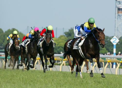 キンカメ産駒がJRA通算2200勝達成 サンデー、ディープに続き史上3頭目