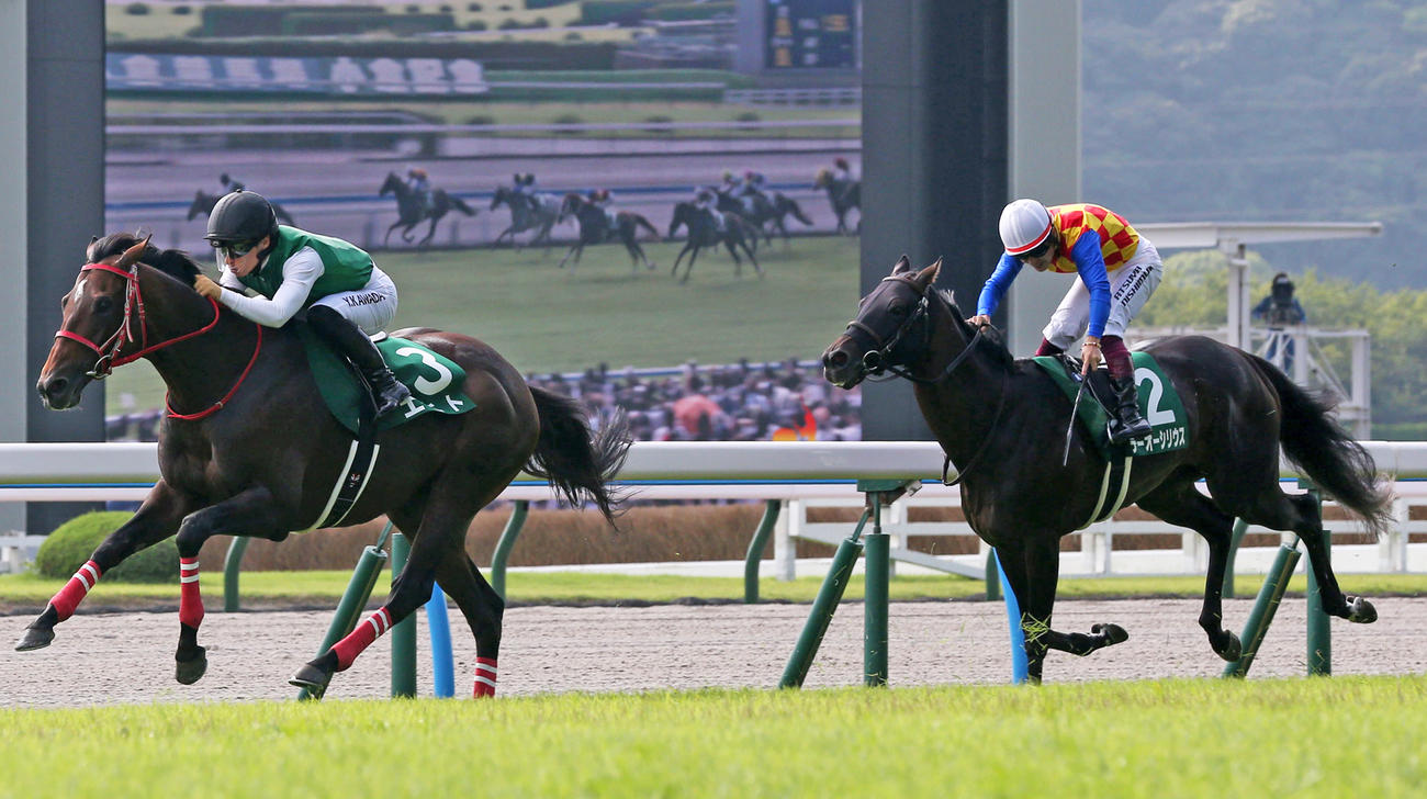 小倉記念2着に敗れたテーオーシリウス（右）。左は勝ったエヒト（撮影・冨田成美）