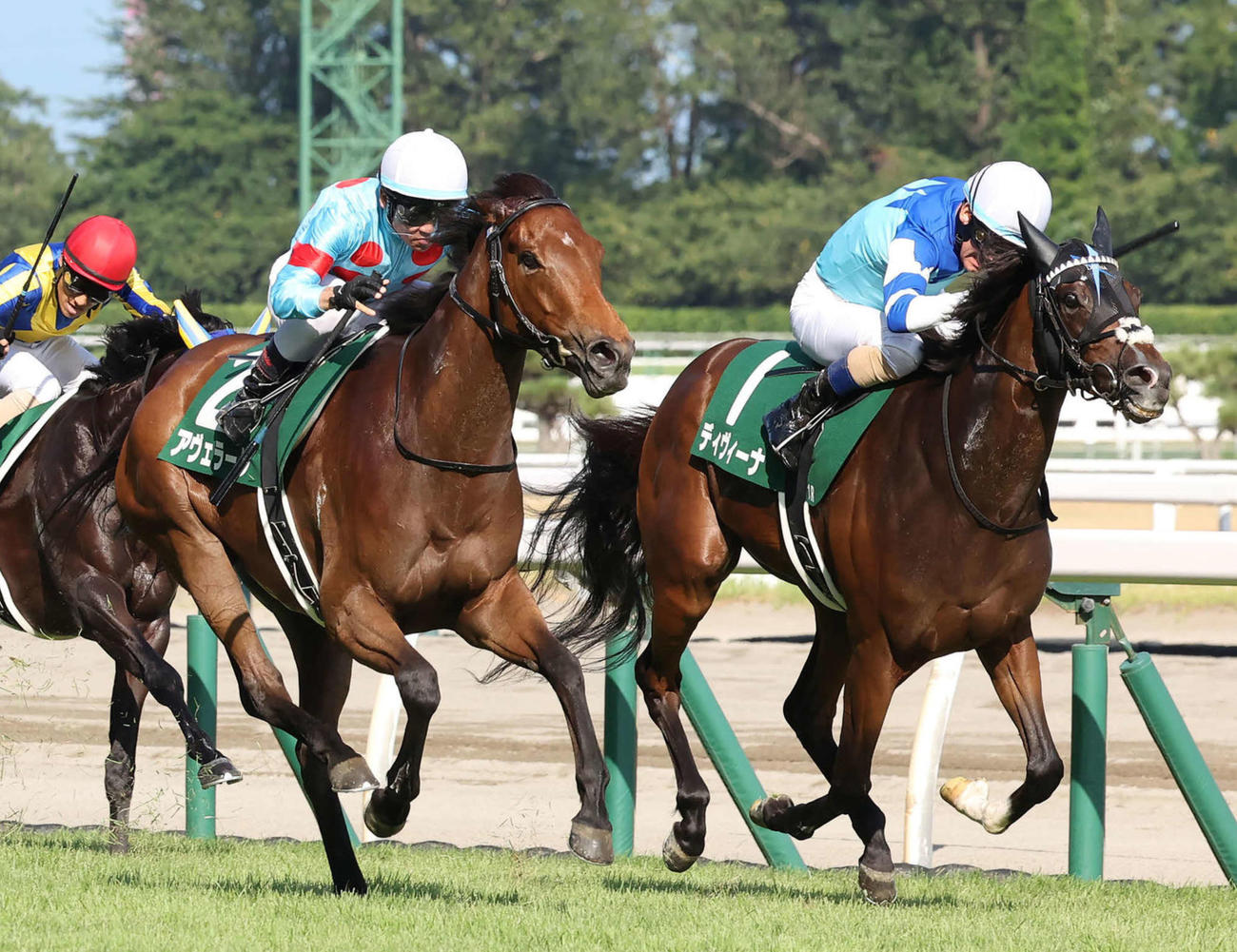 関屋記念2着に敗れたディヴィーナ（右）。左は勝ったアヴェラーレ（撮影・丹羽敏通）