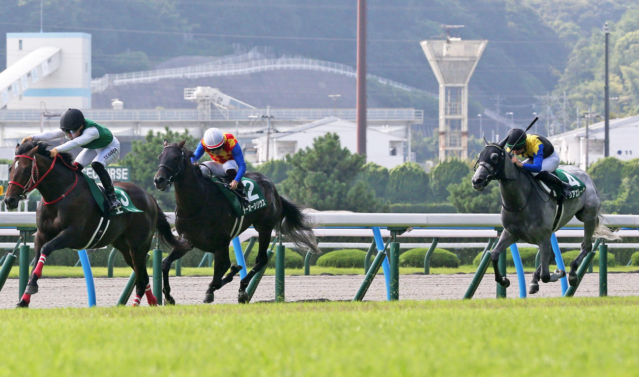 小倉記念4着に敗れたマリアエレーナ（右）。左は勝ったエヒト（撮影・冨田成美）