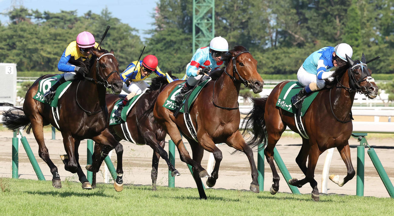 関屋記念を制したアヴェラーレと戸崎騎手（中央）（撮影・丹羽敏通）