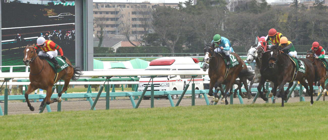 15年フラワーCを逃げ切ったアルビアーノ（左端）