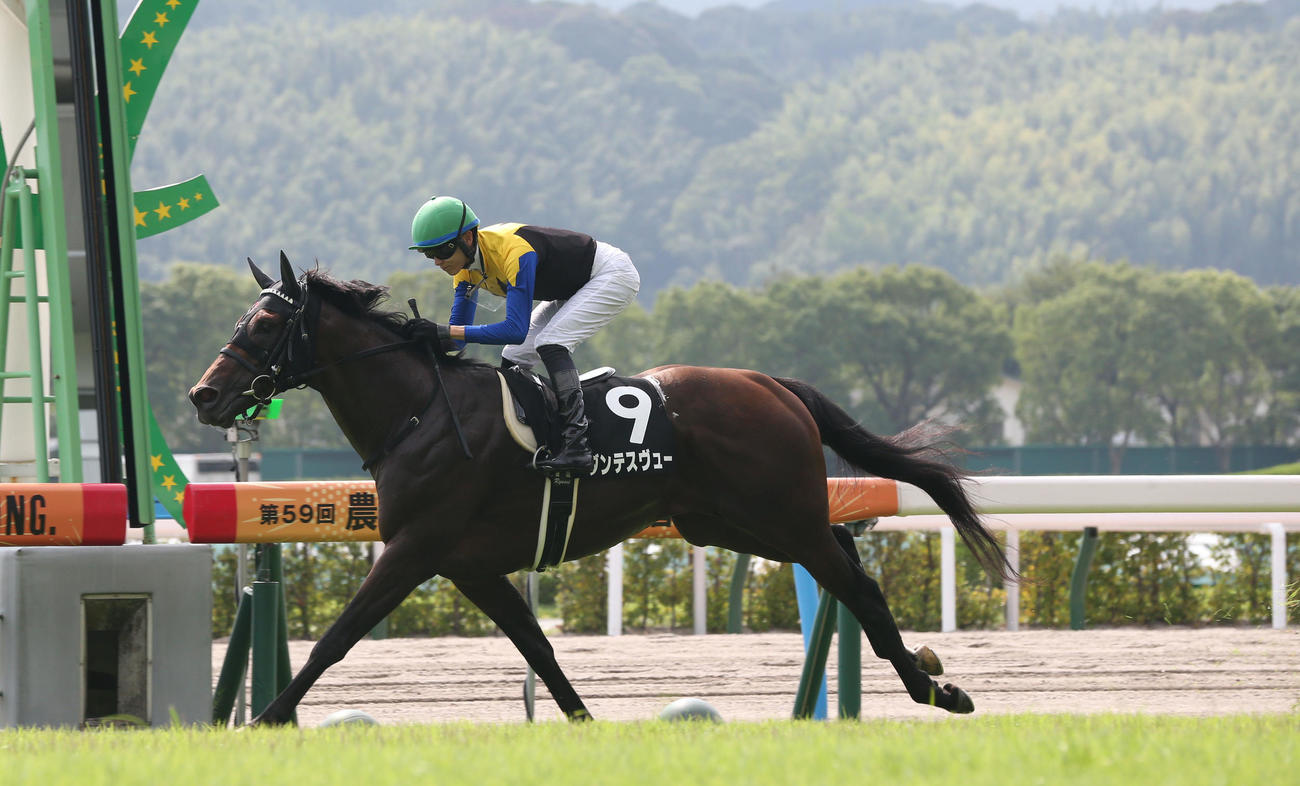 ダンテスヴューと坂井騎手は博多Sを快勝する（撮影・冨田成美）