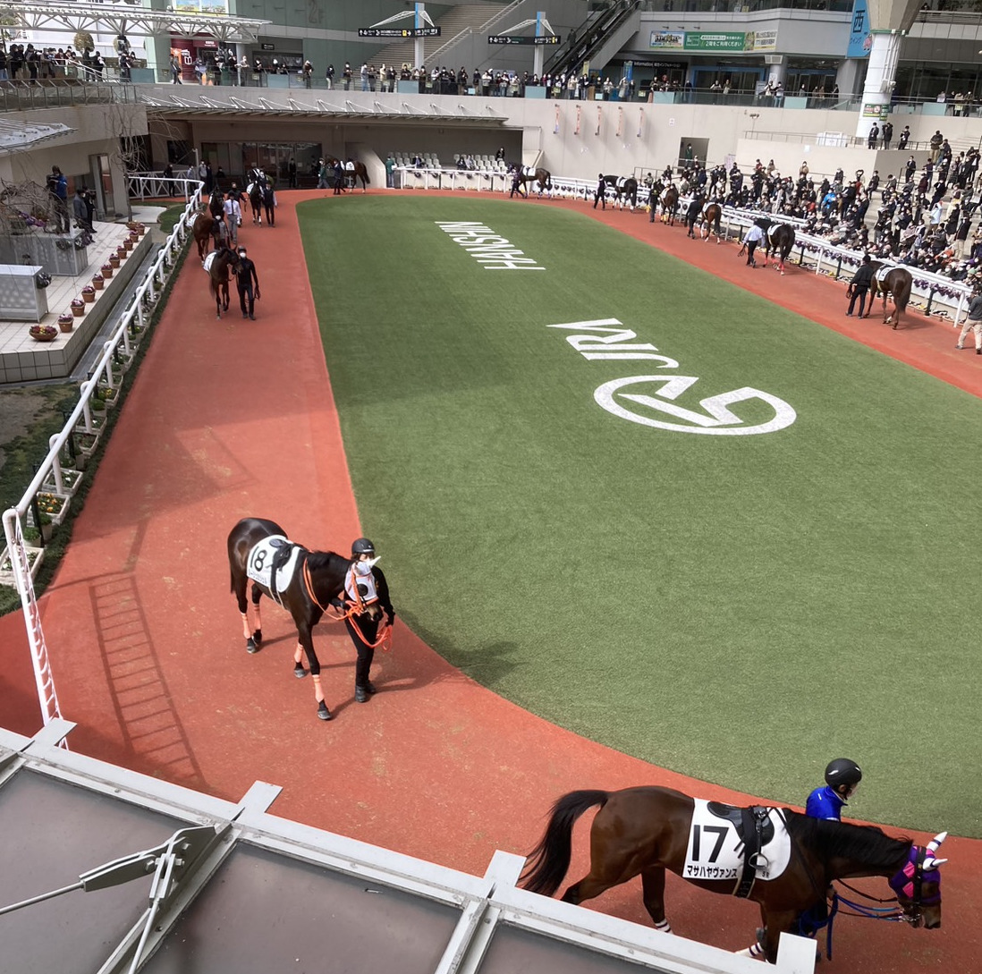 通常のパドックは左回りだが「ISU1」は阪神競馬の本馬場同様、右回りで実施される