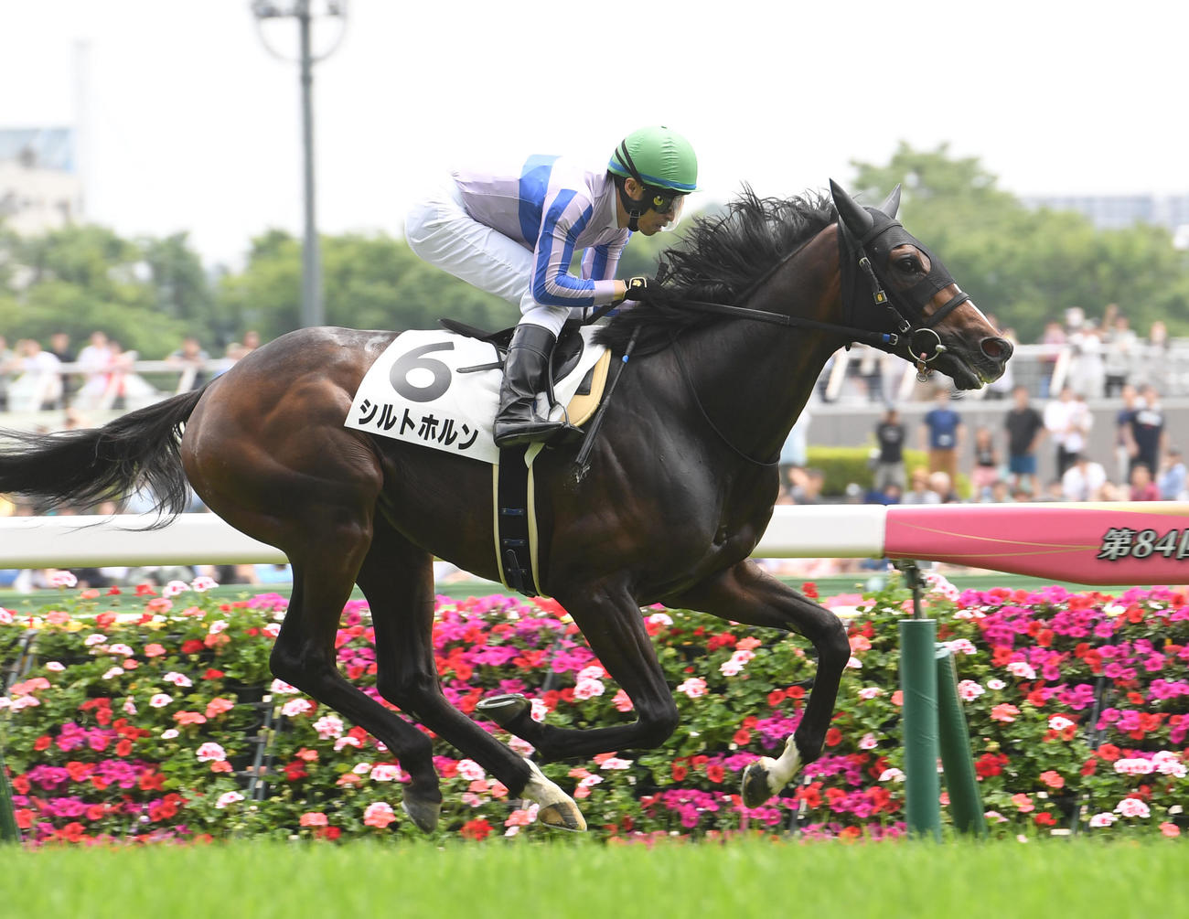 シルトホルン（2023年5月撮影）