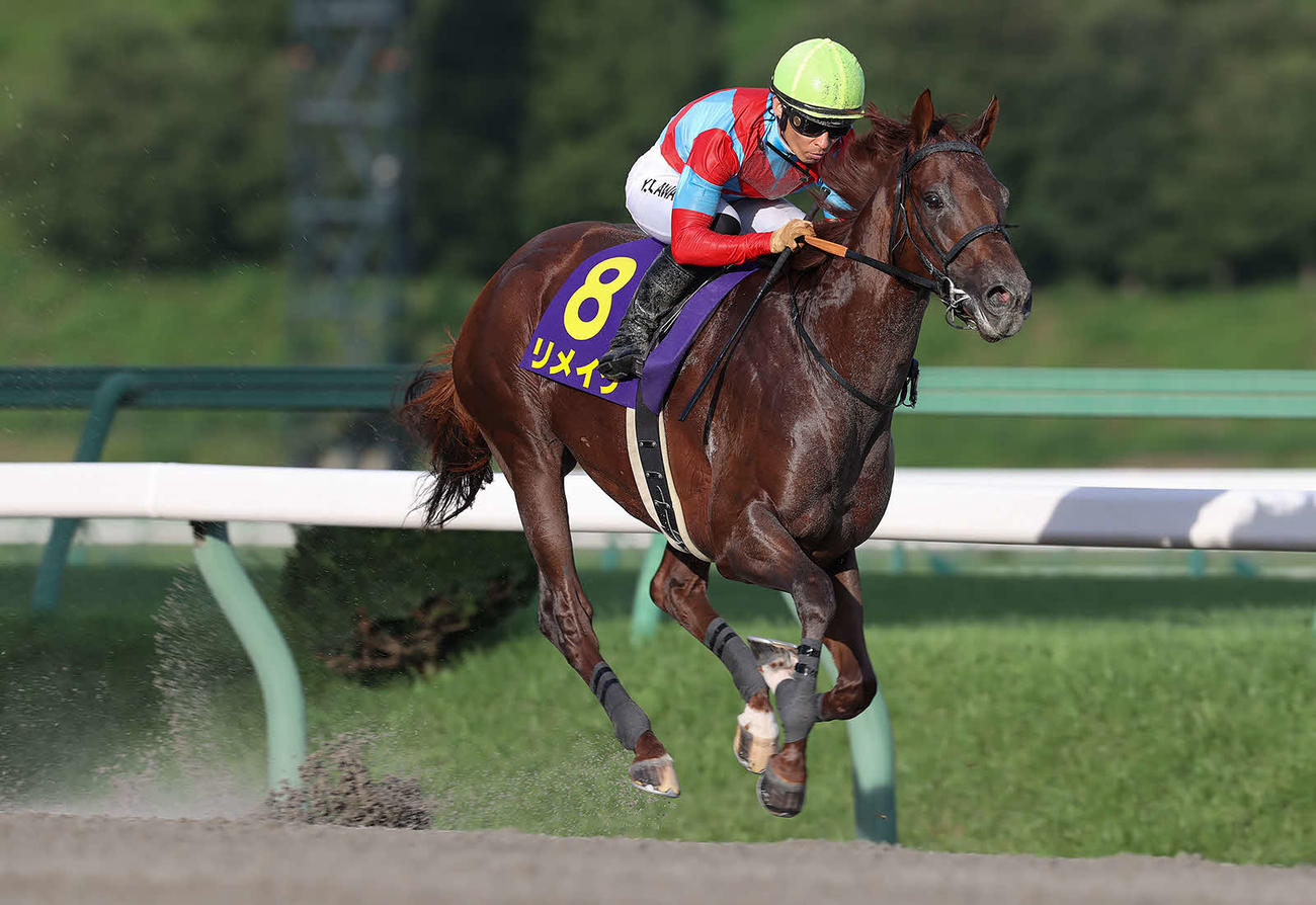 クラスターCを制したリメイク（C）岩手県競馬組合