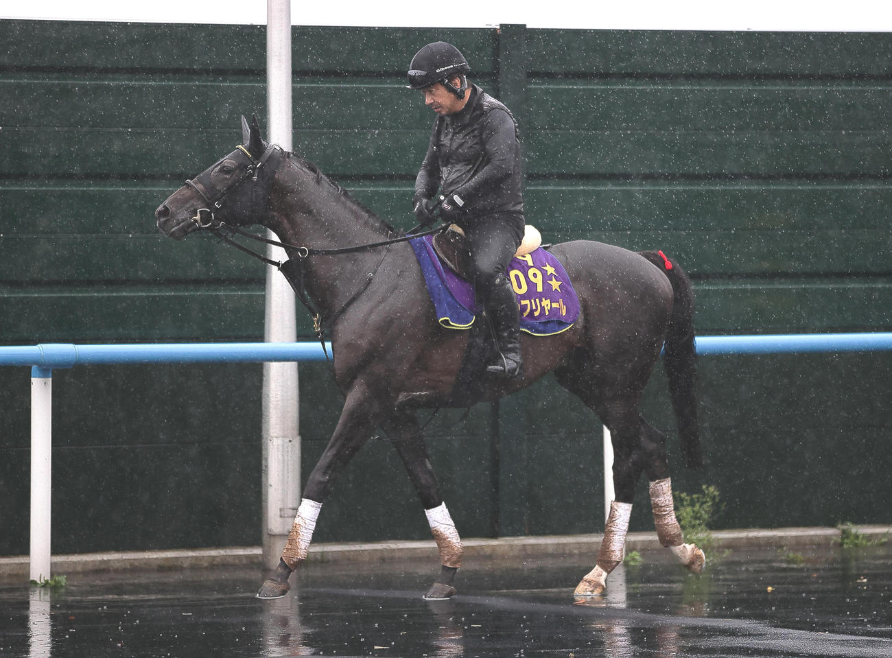 札幌記念に向け、函館競馬場で調整するシャフリヤール