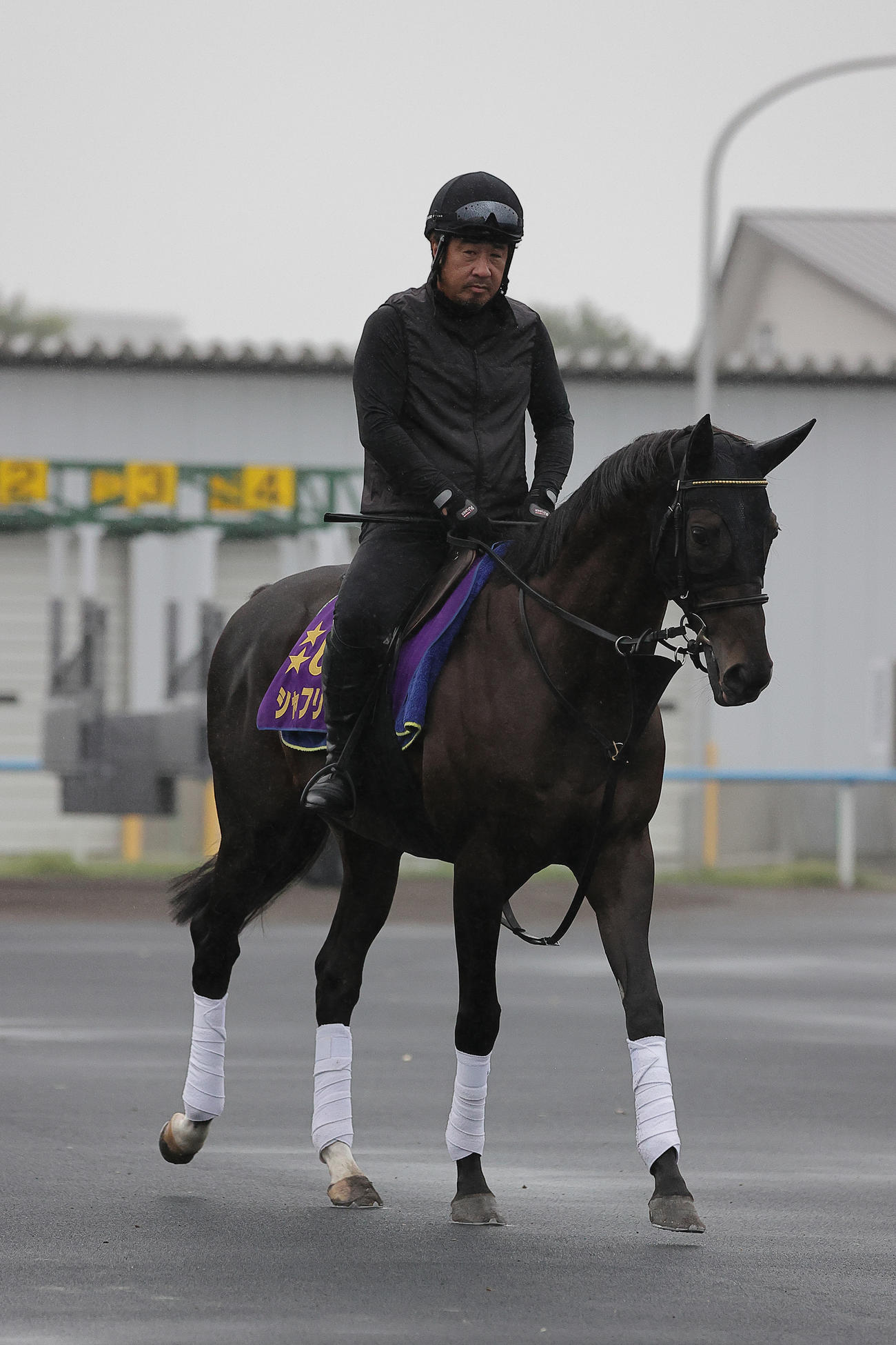 札幌記念に向け、函館競馬場で調整するシャフリヤール