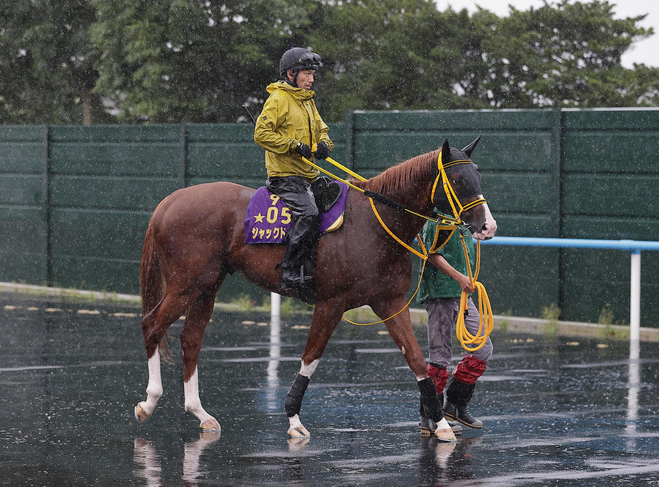 札幌記念に向け、函館競馬場で調整するジャックドール