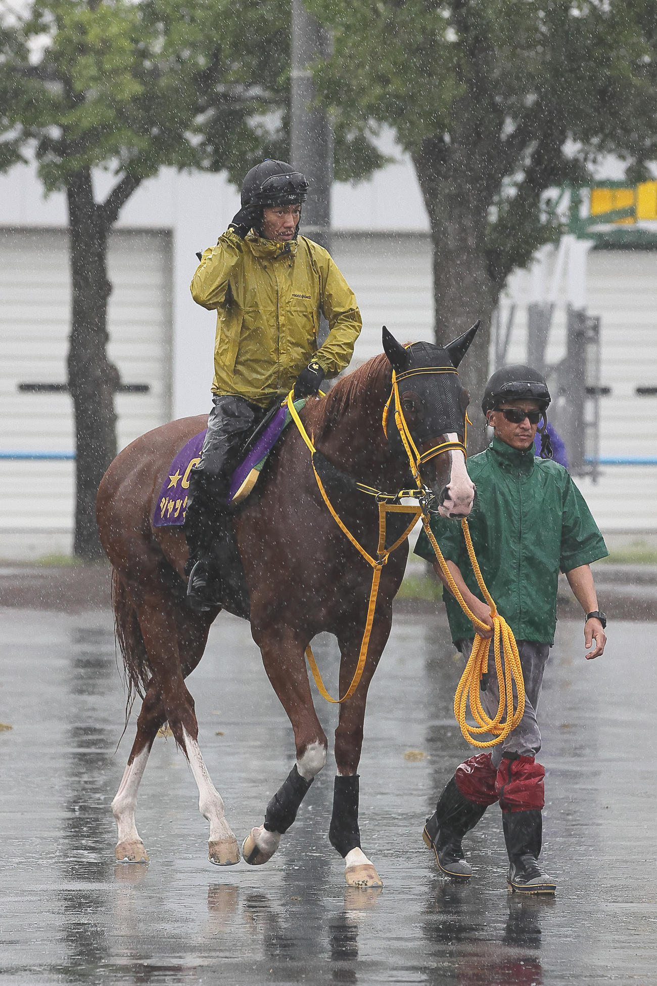 札幌記念に向け、函館競馬場で調整するジャックドール