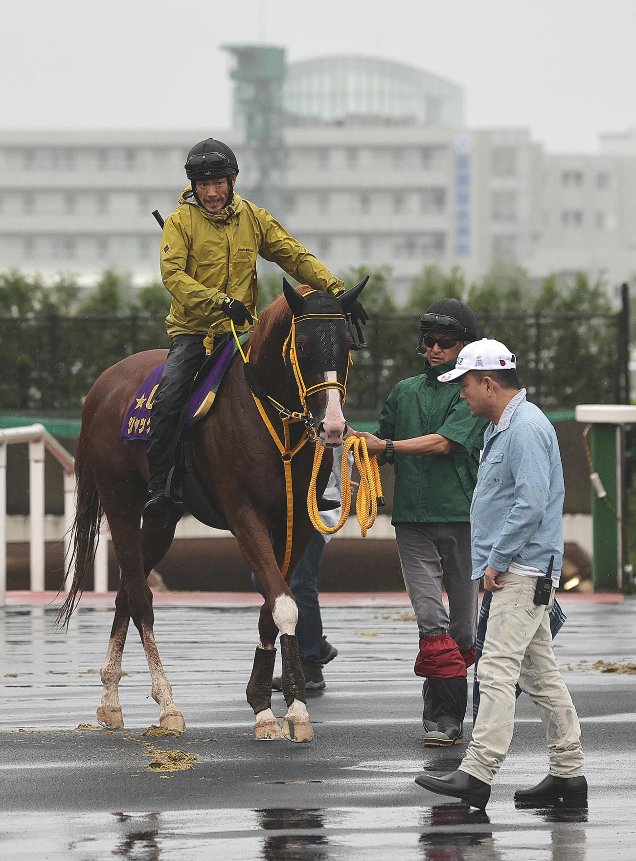札幌記念に向け、函館競馬場で調整するジャックドール