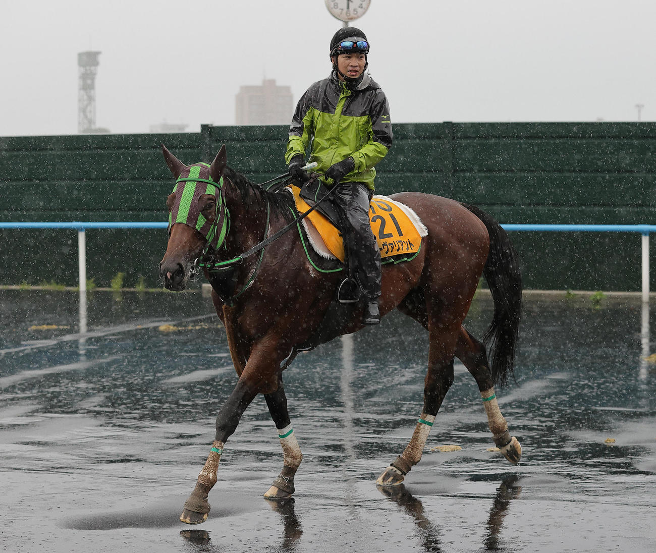 札幌記念に向け、函館競馬場で調整するソーヴァリアント