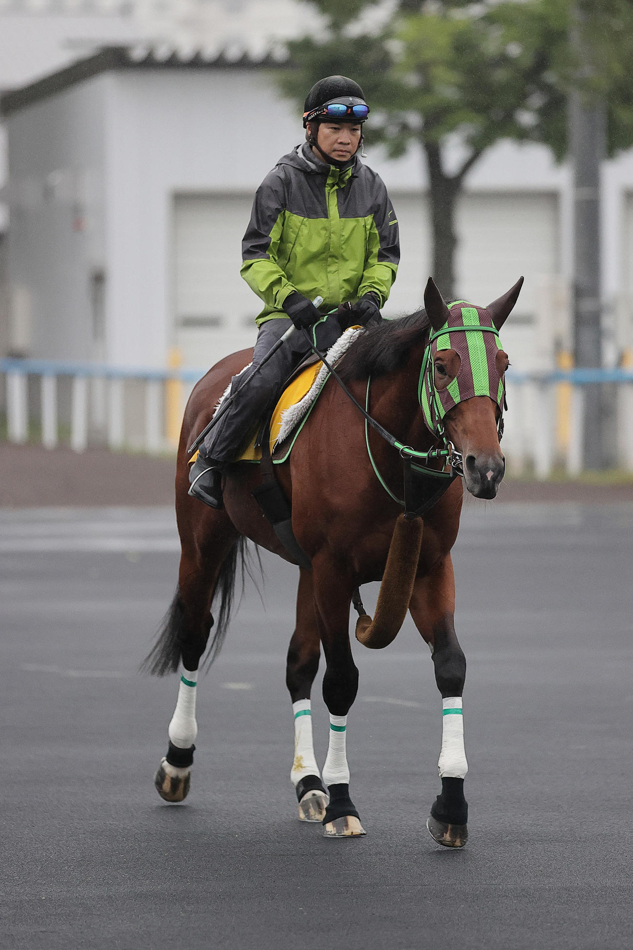 札幌記念に向け、函館競馬場で調整するソーヴァリアント