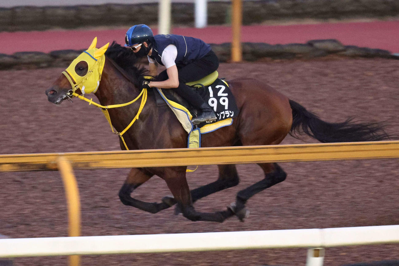 10日、松山騎手が騎乗し、CWコース馬なりで動きを確かめられたロンドンプラン