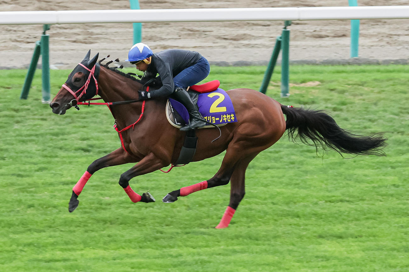 岩田康騎手を背に札幌芝コースで追い切られるイズジョーノキセキ（撮影・村野早祐）