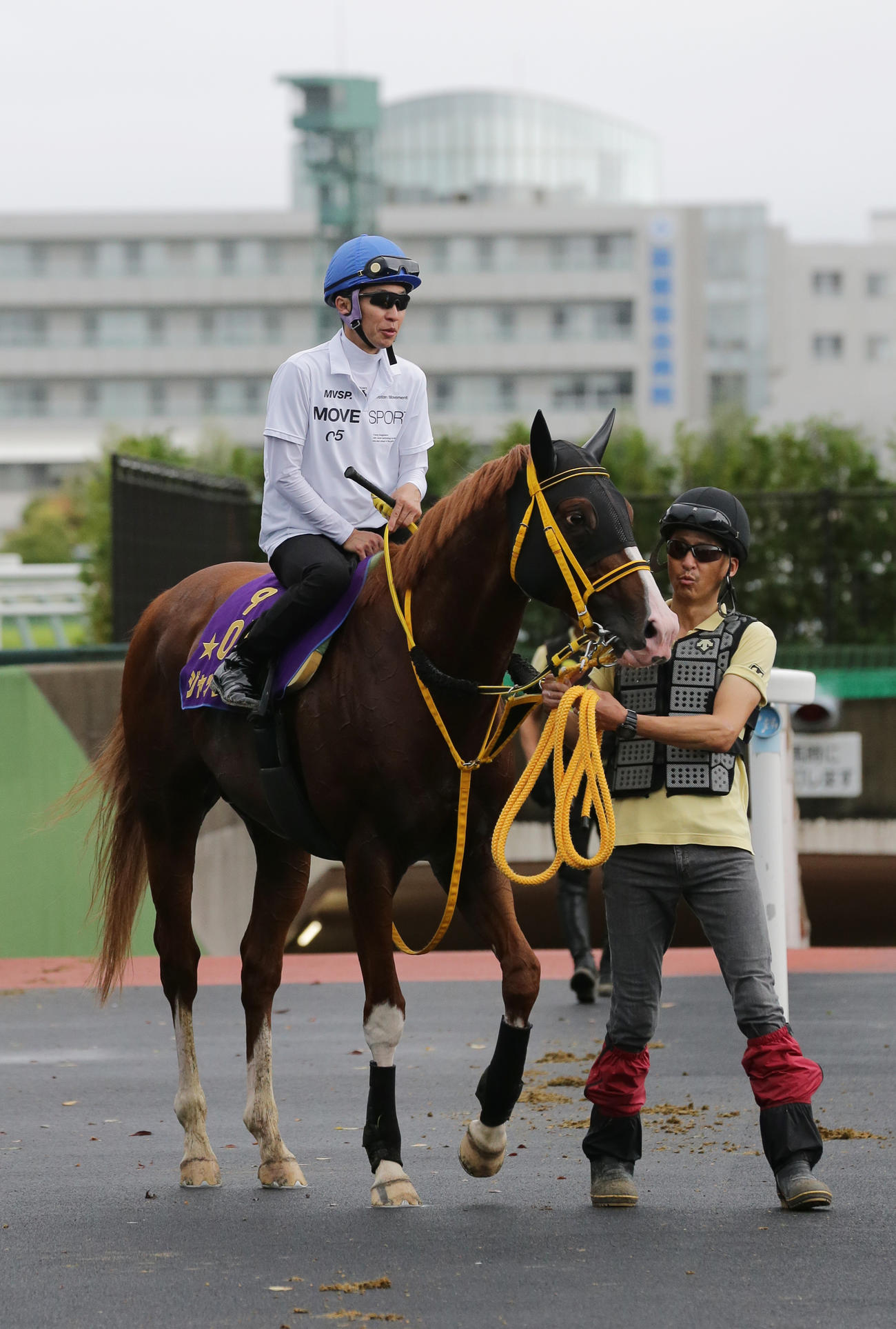 武豊騎手を背に函館芝コースで追い切られ、引き上げてくるジャックドール