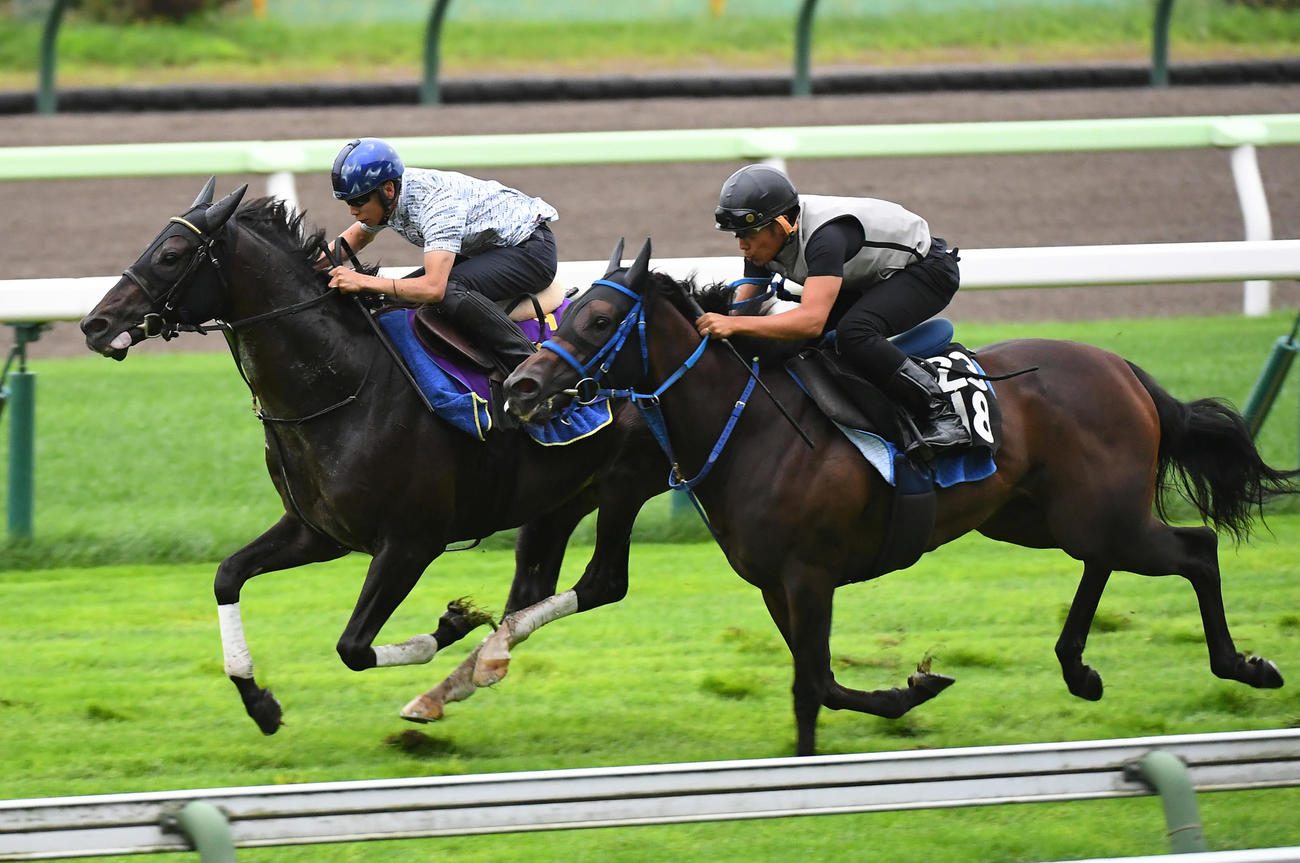 横山武史騎手を背に、函館芝コースで併せ馬で追い切られるシャフリヤール（左）
