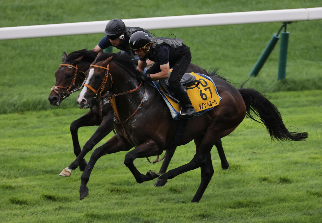 函館芝コースで併せ馬で追い切られるダノンベルーガ（右）