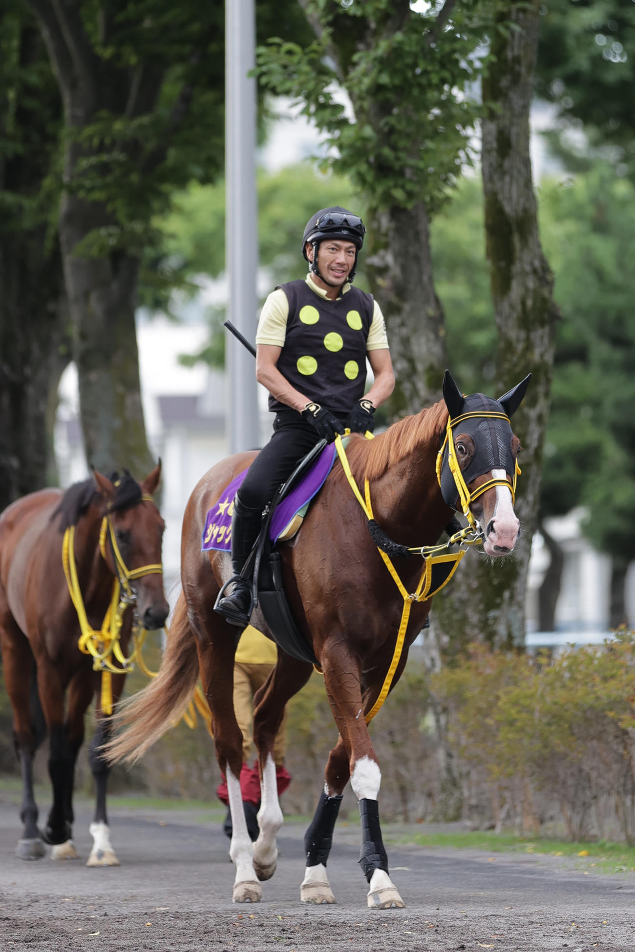 札幌記念に向け、函館競馬場で調整するジャックドール