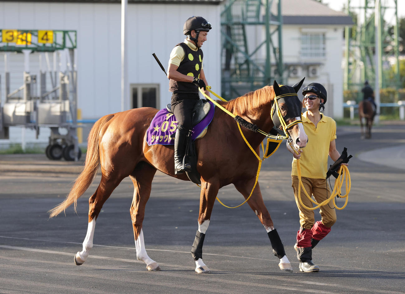 札幌記念に向け、函館競馬場で調整するジャックドール
