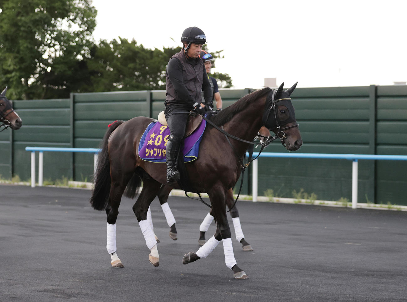 札幌記念に向け、函館競馬場で調整するシャフリヤール