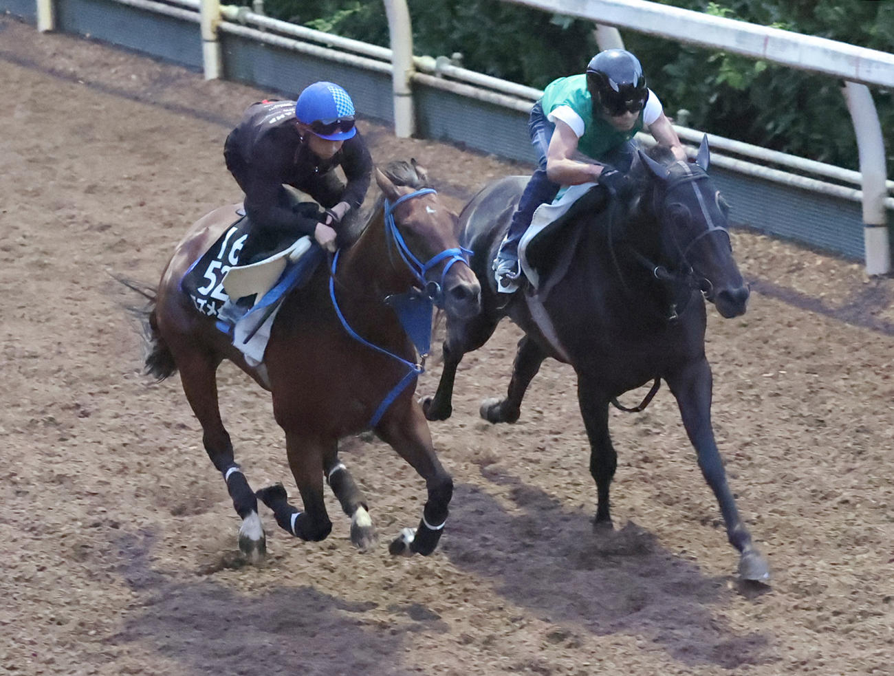 16日、モズメイメイ（左）は松若騎手を背に、坂路を併せ馬で追い切られた