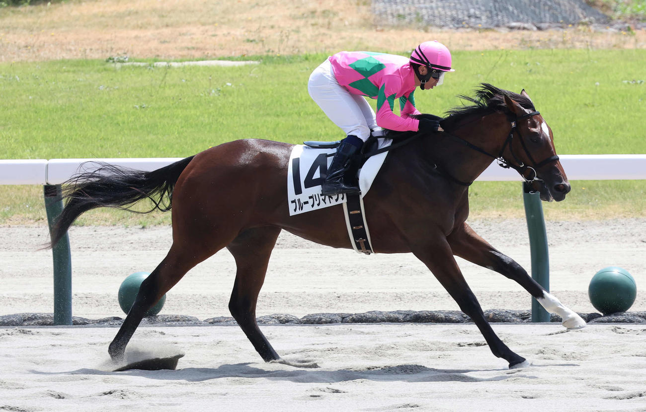 新潟3R、2歳新馬戦を制したブループリマドンナと北村宏騎手（撮影・丹羽敏通）