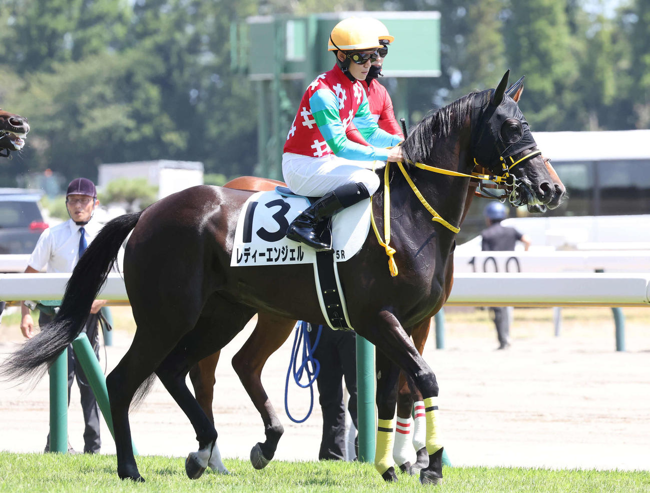 新潟5R、デビュー戦に勝利したレディーエンジェルと菱田騎手（撮影・丹羽敏通）